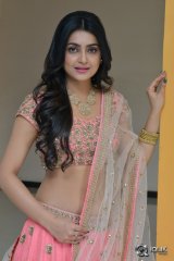 Avantika Mishra at Vaishakham Movie Audio Launch